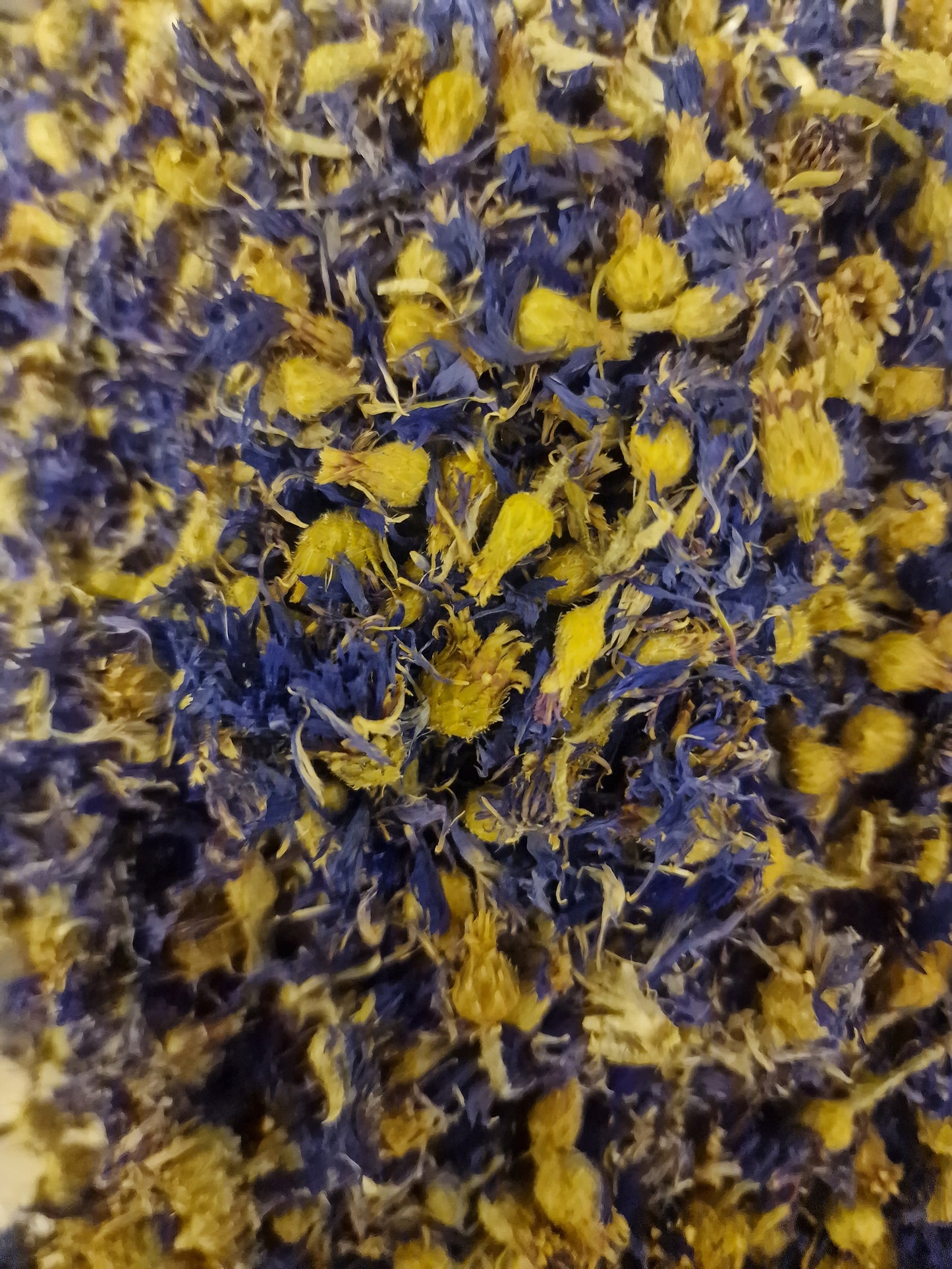 Cornflower flower tea (Centaurea cyanus L.) Lab-proven Quality and Purity