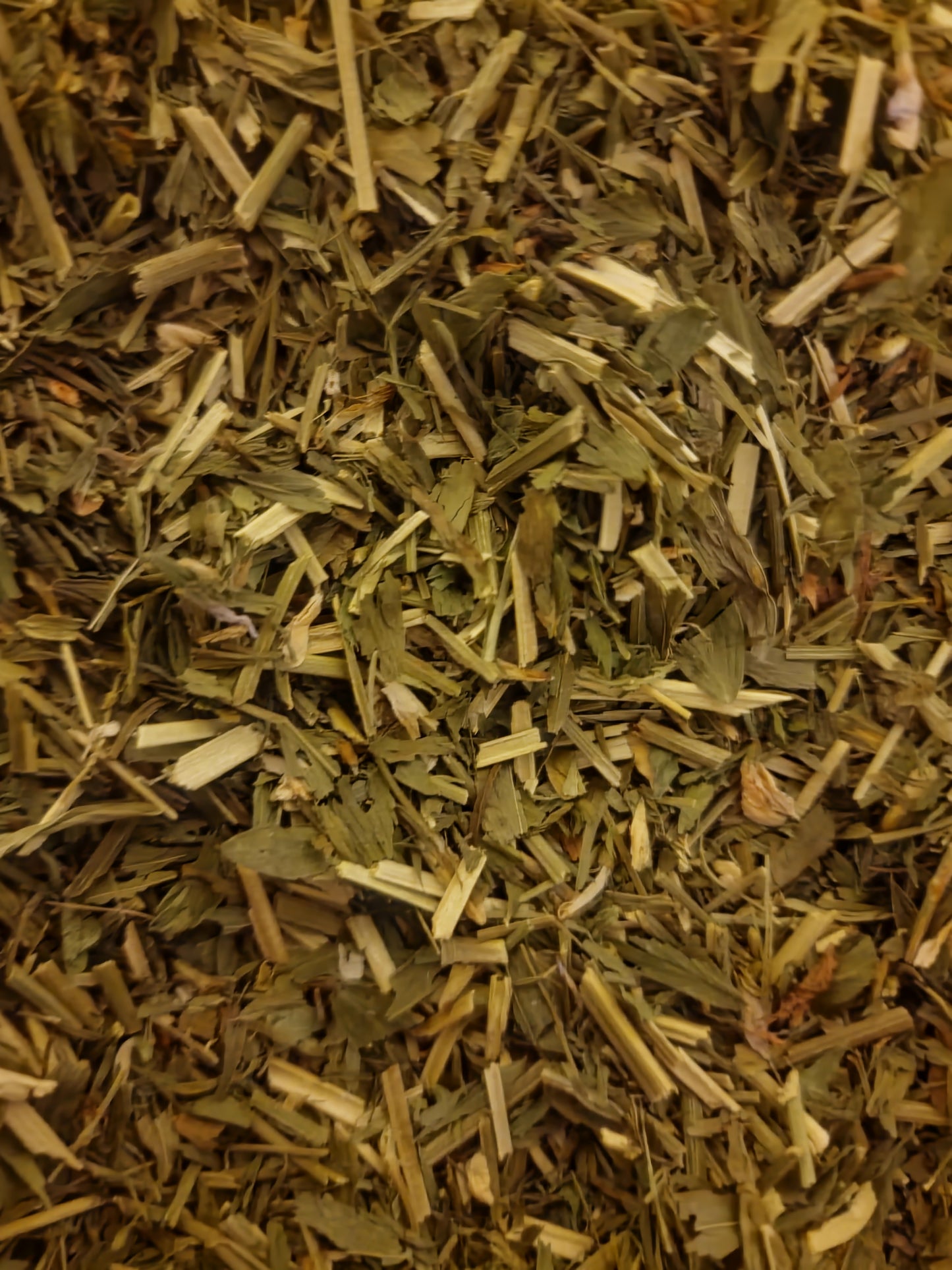 Goats Rue herb tea (Galega officinalis L.) Lab-proven Quality and Purity