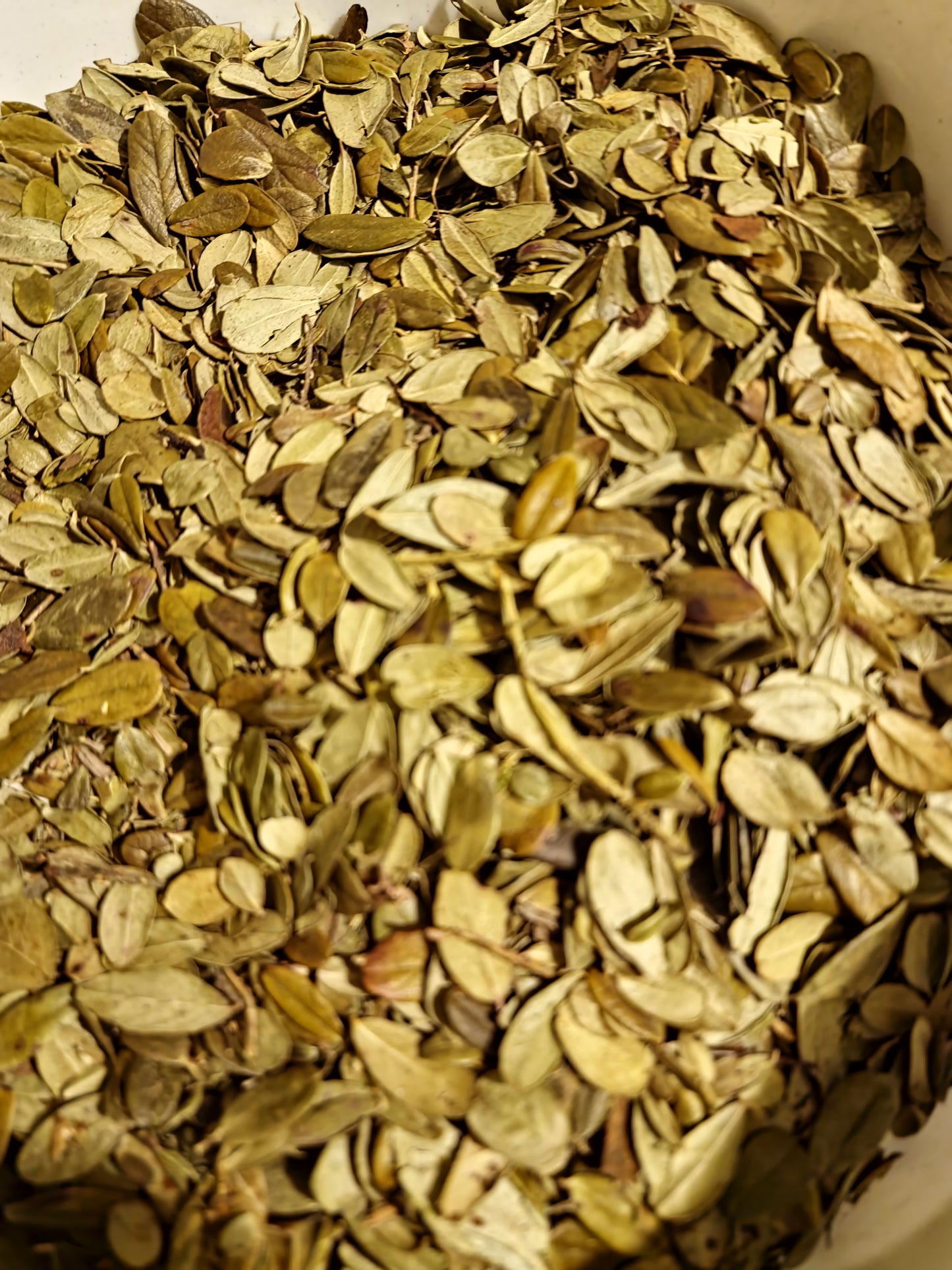 Lingonberry whole leaf tea (Vaccinium vitis-idaea L.) Lab-proven Quality and Purity