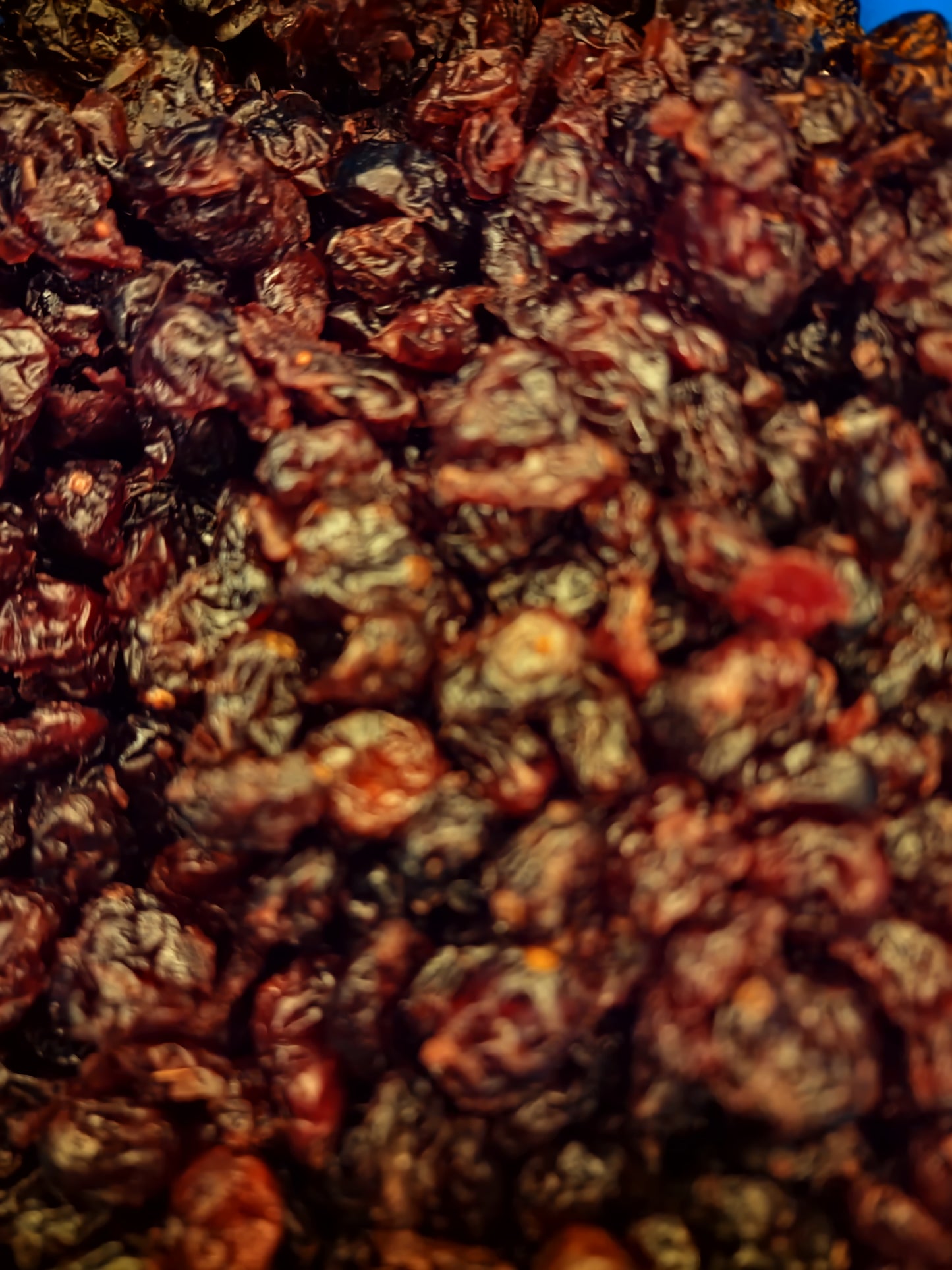 Cranberries whole dried (Vaccinium oxycoccos - L.)  Lab-proven Quality and Purity