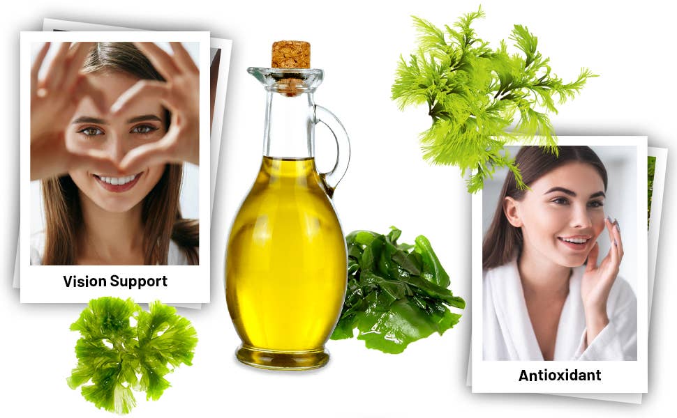 Prowise Vegan Omega-3 DHA from Algae Oil 60 Softgels