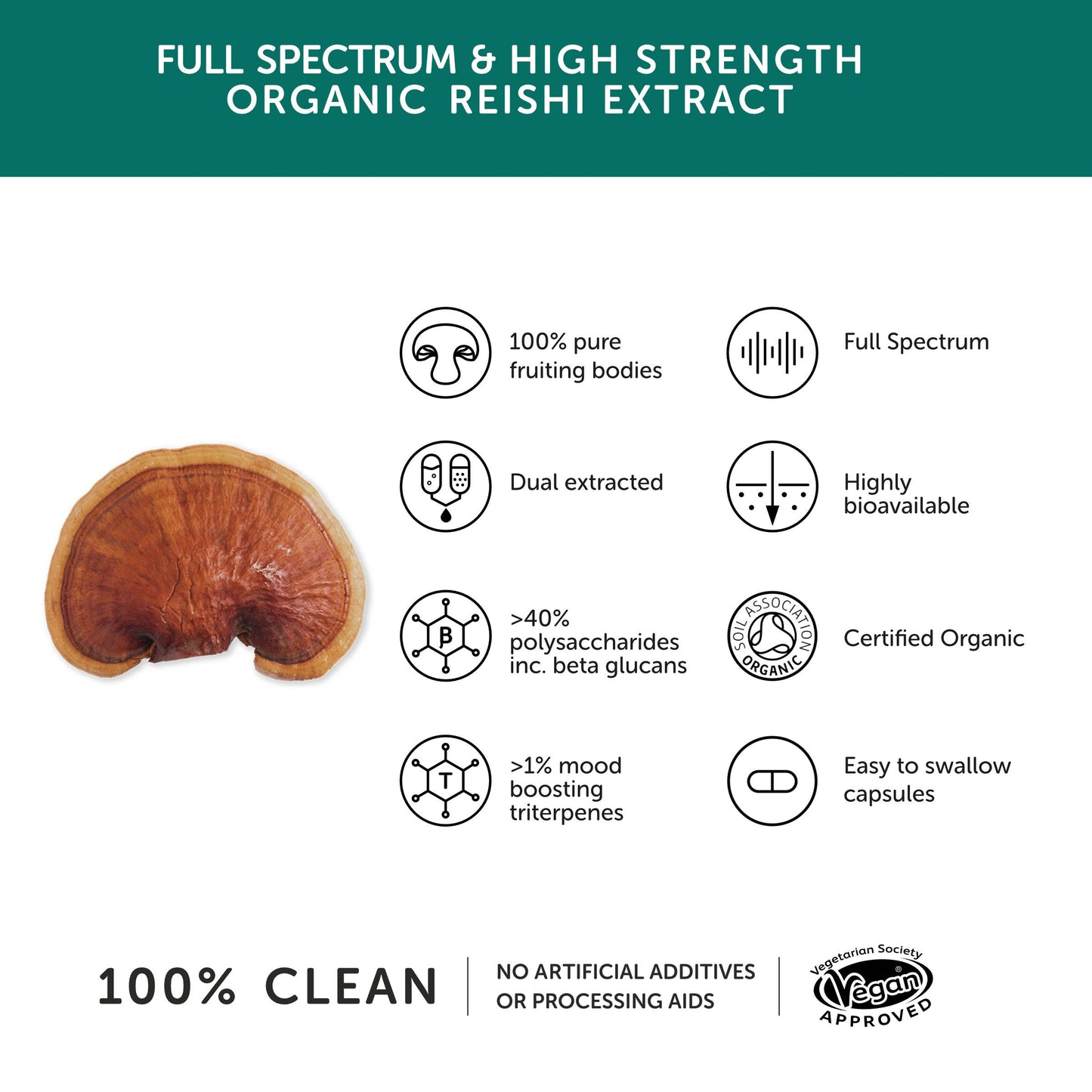 Reishi Mushroom 10,300mg - High Strength – Together Health