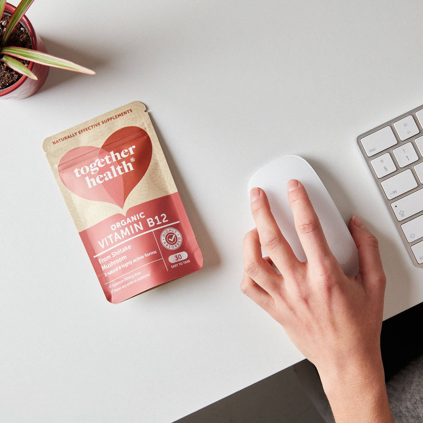 Vitamin B12 – Organic – 30 Capsules - Together Health