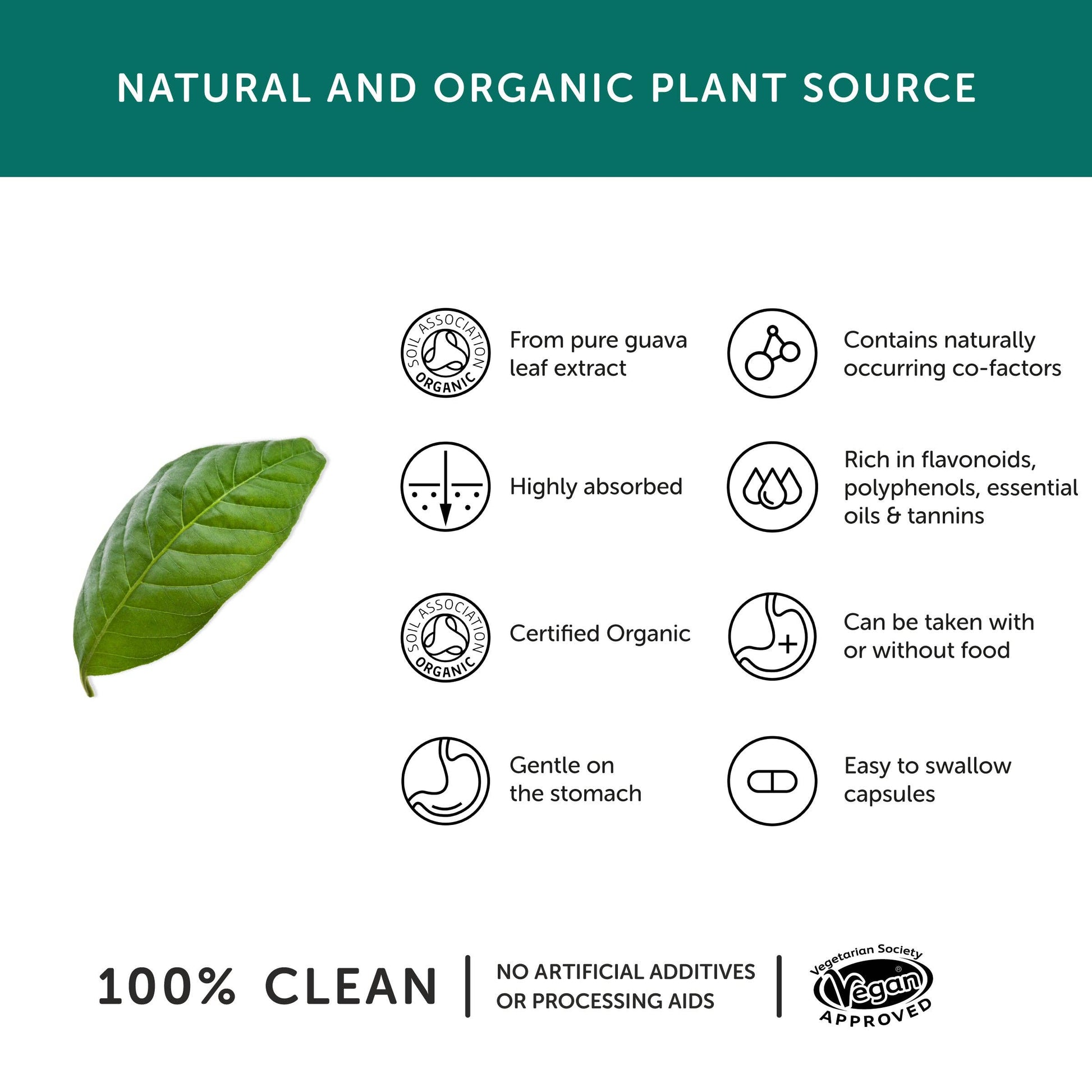 Infographic highlighting benefits of a guava leaf extract supplement, featuring icons for absorption, gentleness, and organic certification.
