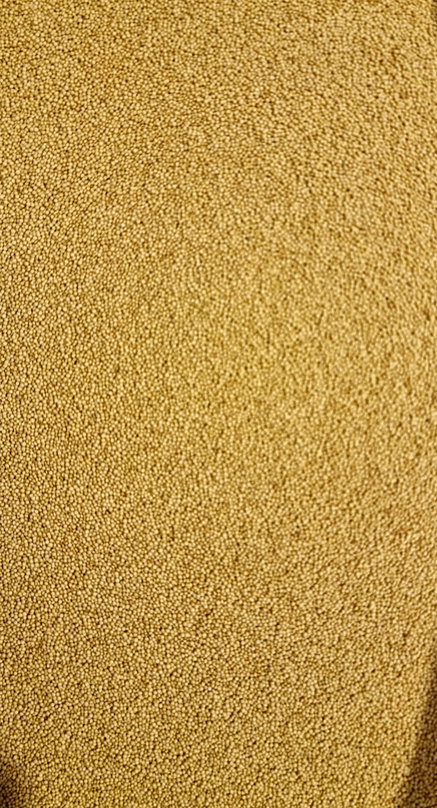 close up of Amaranth Seeds, an superfood from Botanical remedies herbal dispensary