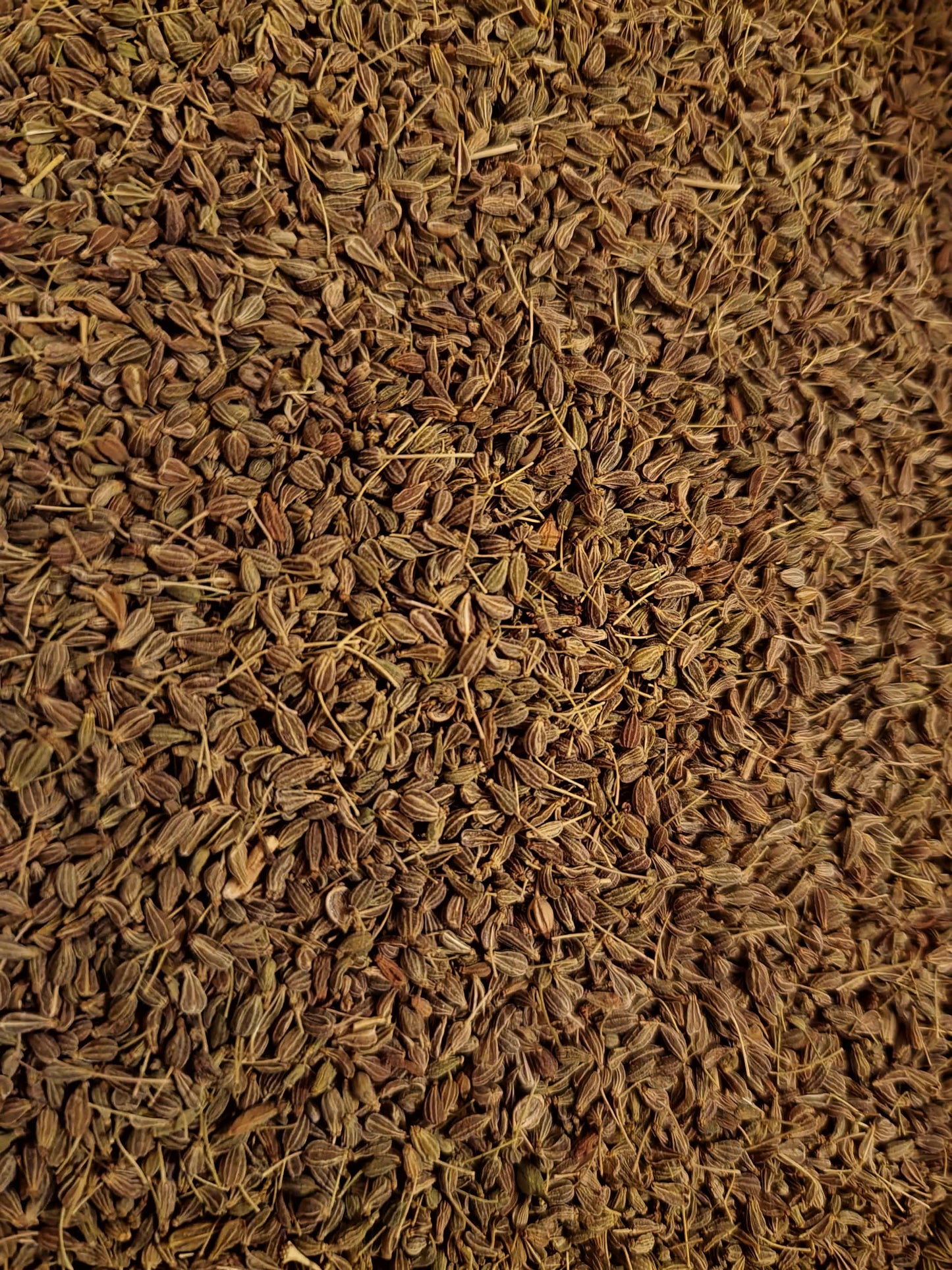 An overhead macro photograph of loose Apothecary Grade Whole Aniseed, showcasing the small, ribbed, greenish-grey dried seeds of premium Egyptian Pimpinella anisum.