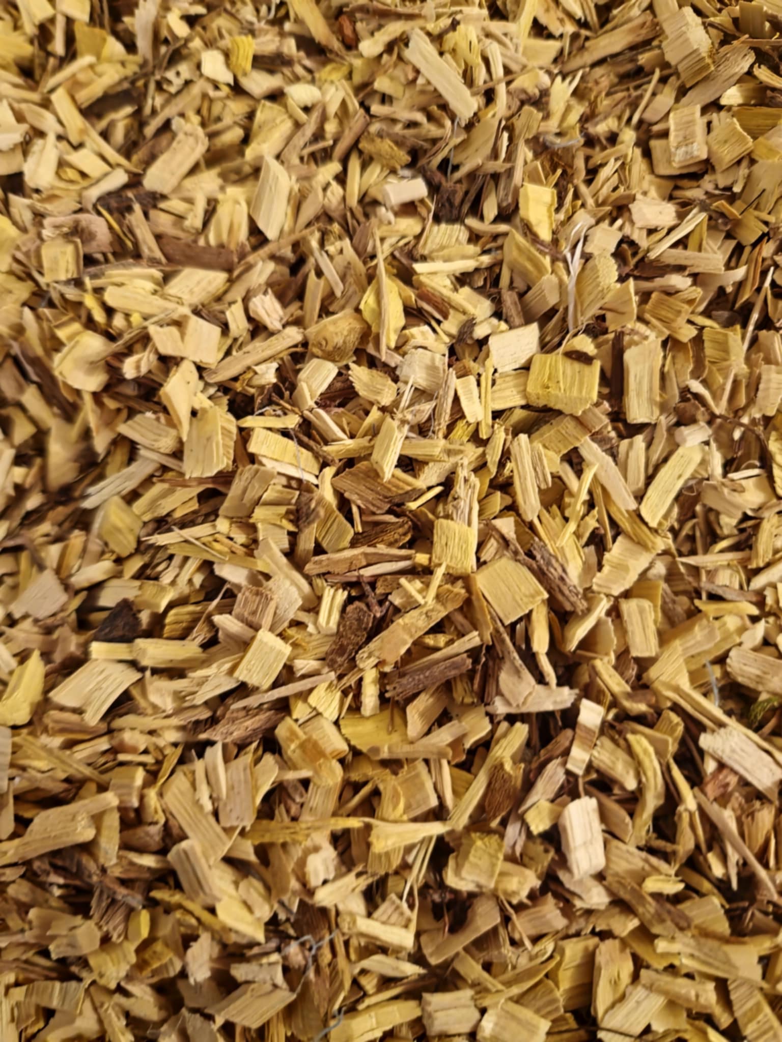 Close-up of dried and cut Barberry bark