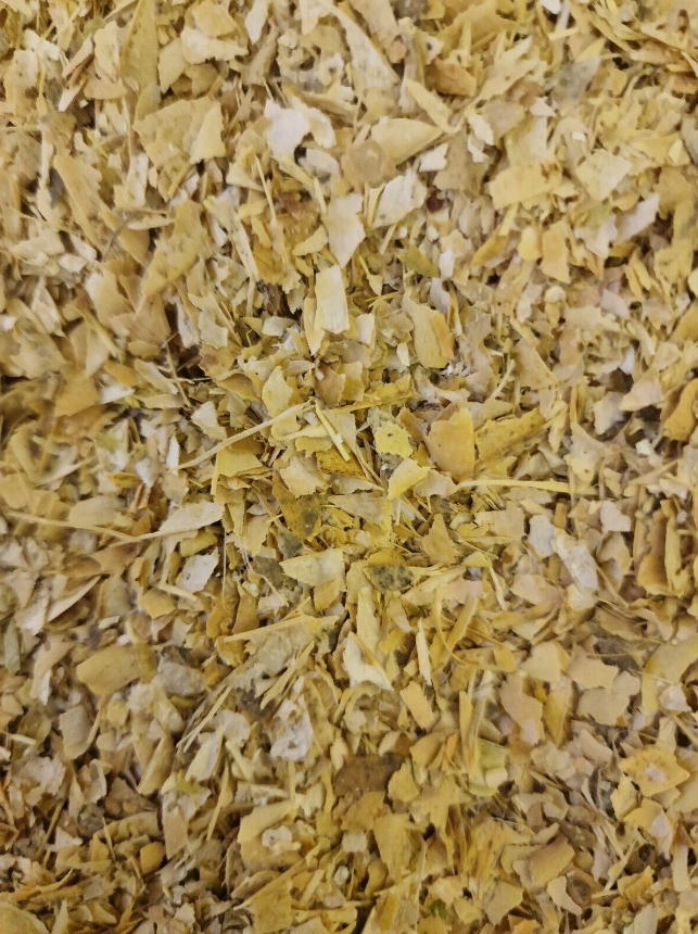 Close up of bean pods from Botanical Remedies herbal dispensary, an herbal remedy, loose herbal tea