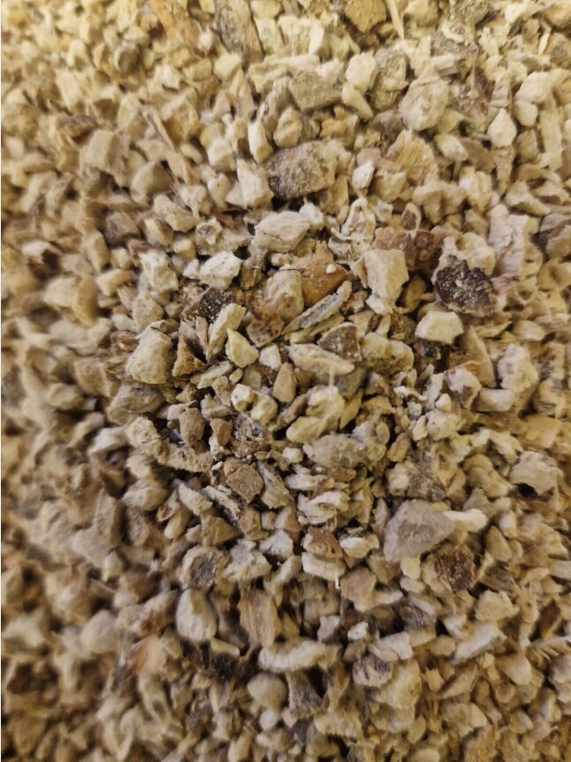 Purchase Chicory root from Botanical Remedies