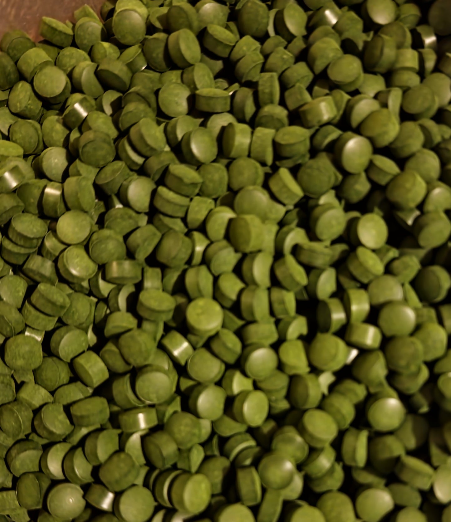 Close up of Chlorella tablets from Botanical Remedies, an superfood, herbal remedy