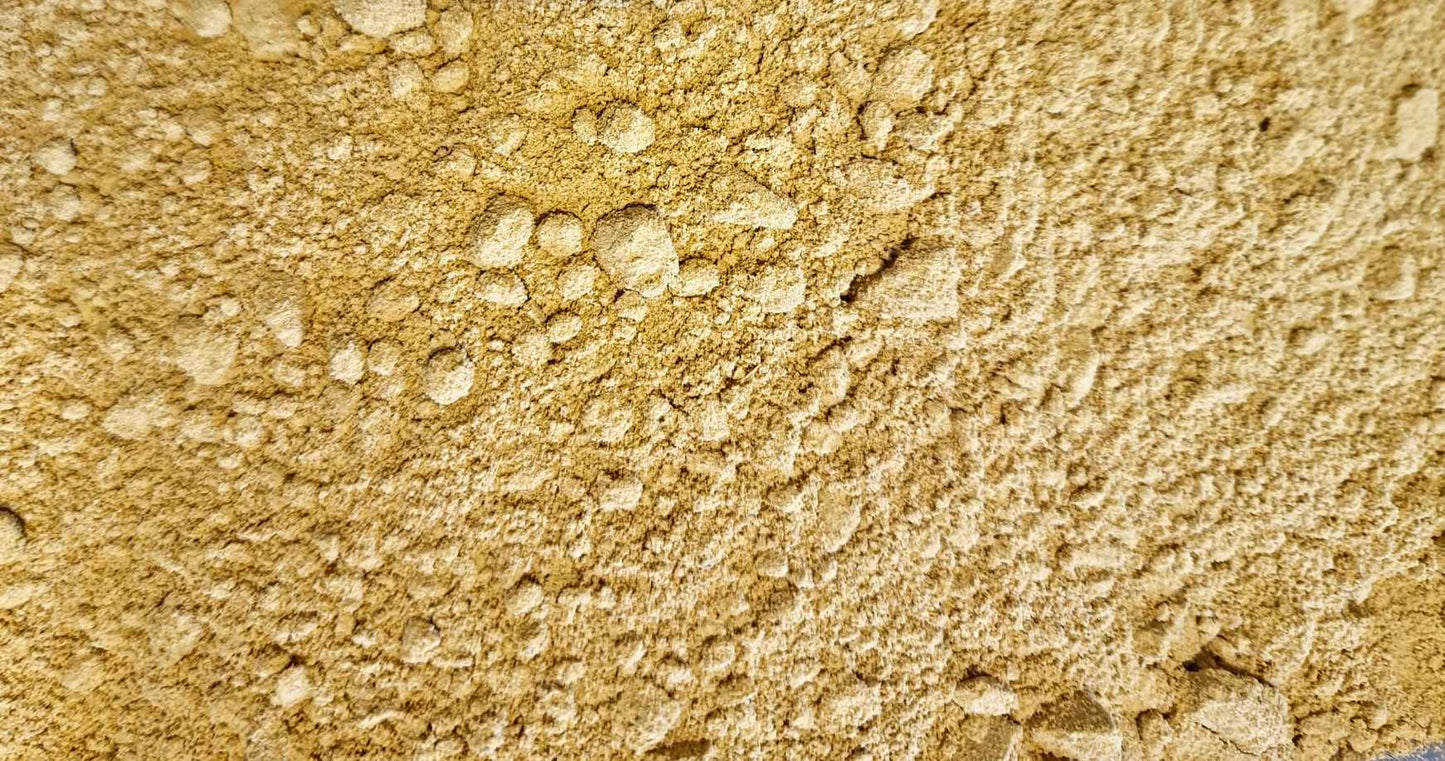 buy Botanical Remedies Ginger Powder