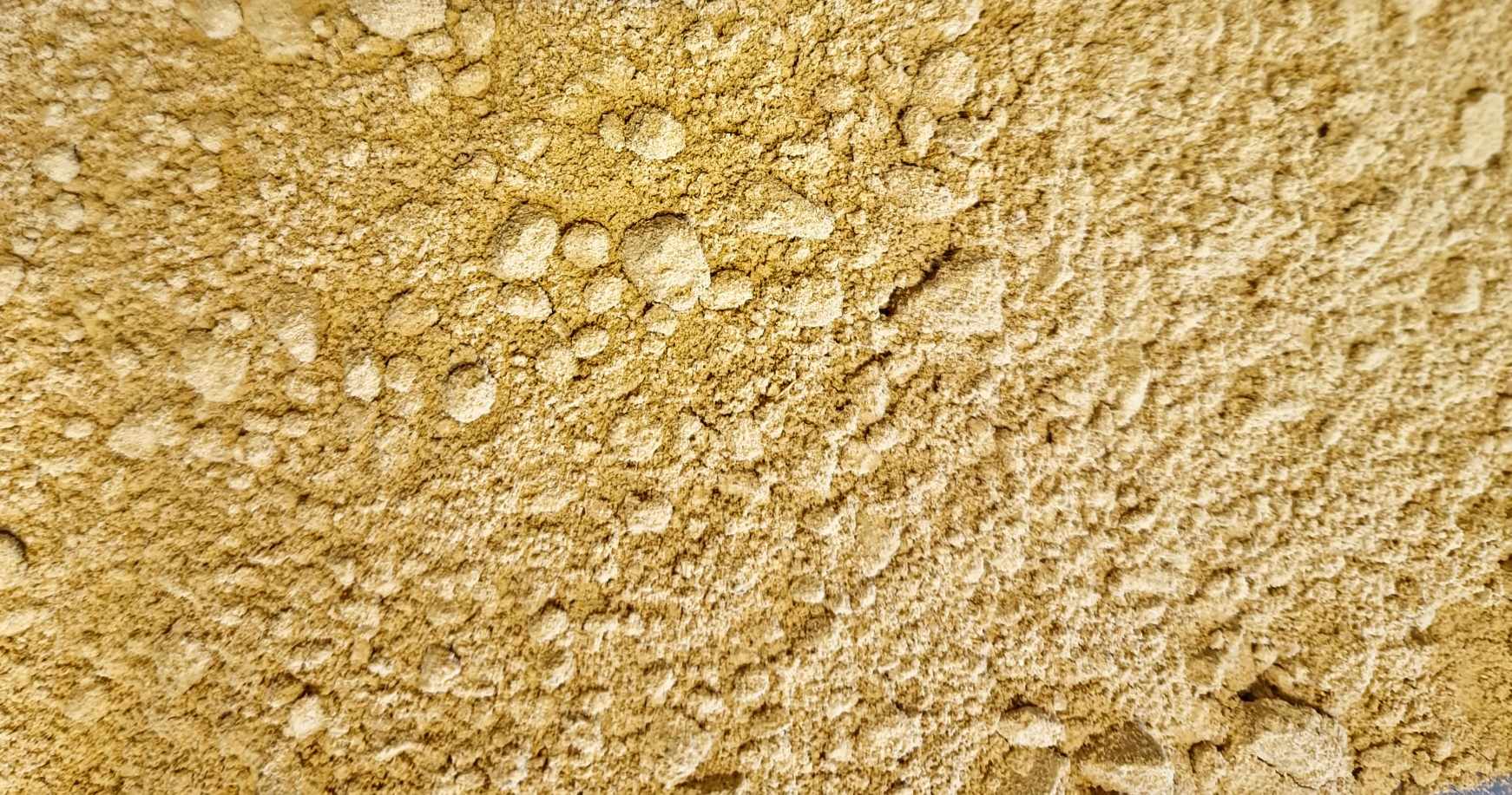 buy Botanical Remedies Ginger Powder