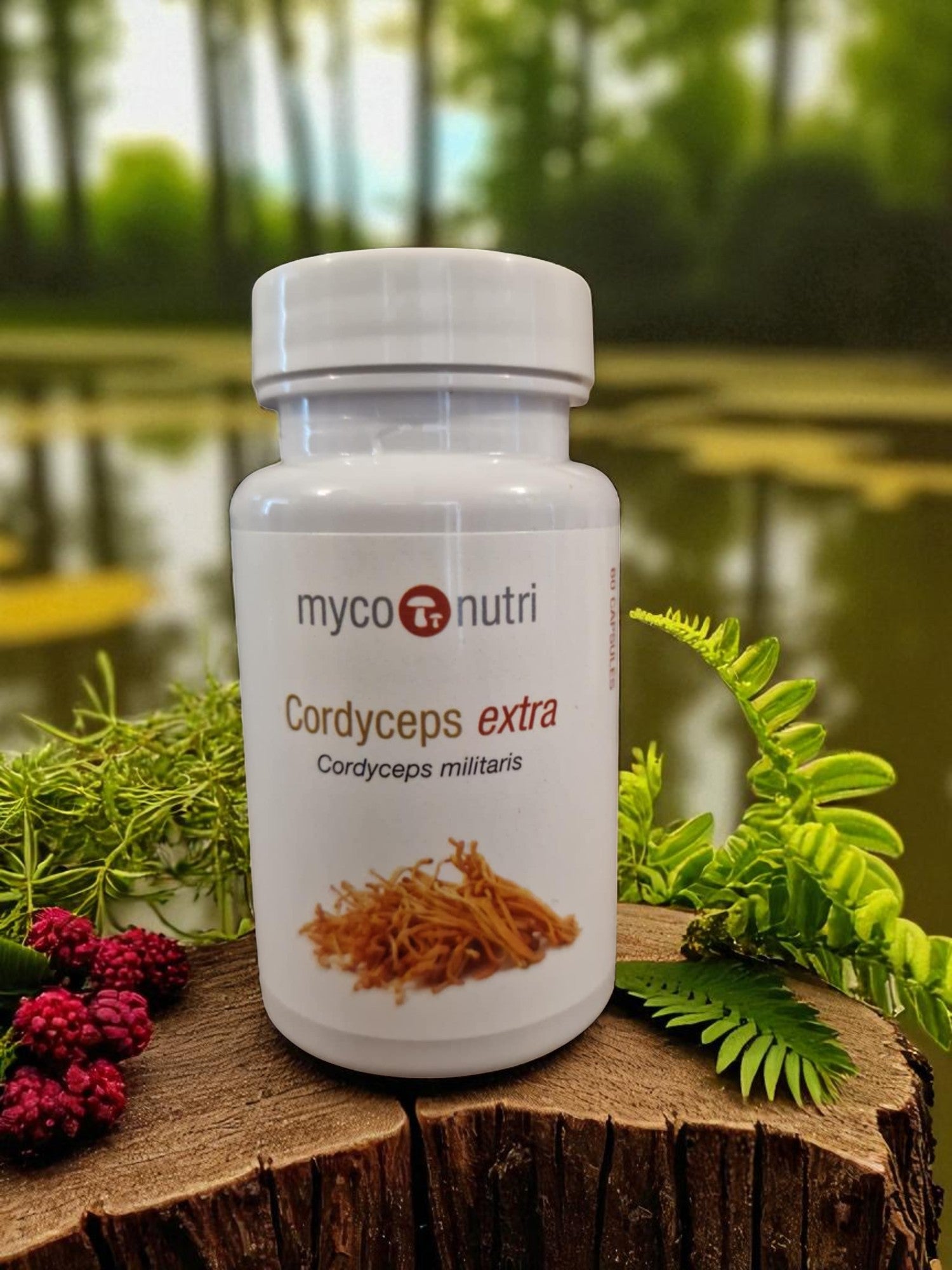 Container contains Myconutri Cordyceps extra, 60 vegetable capsules, an medicinal mushroom extract