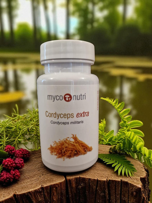 Container contains Myconutri Cordyceps extra, 60 vegetable capsules, an medicinal mushroom extract