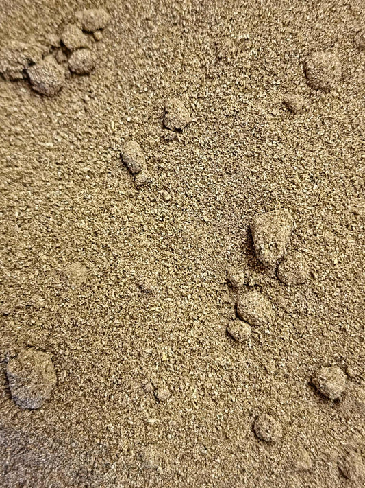 Close-up of dandelion root powder from Botanical Remedies herbal dispensary, an herbal remedy