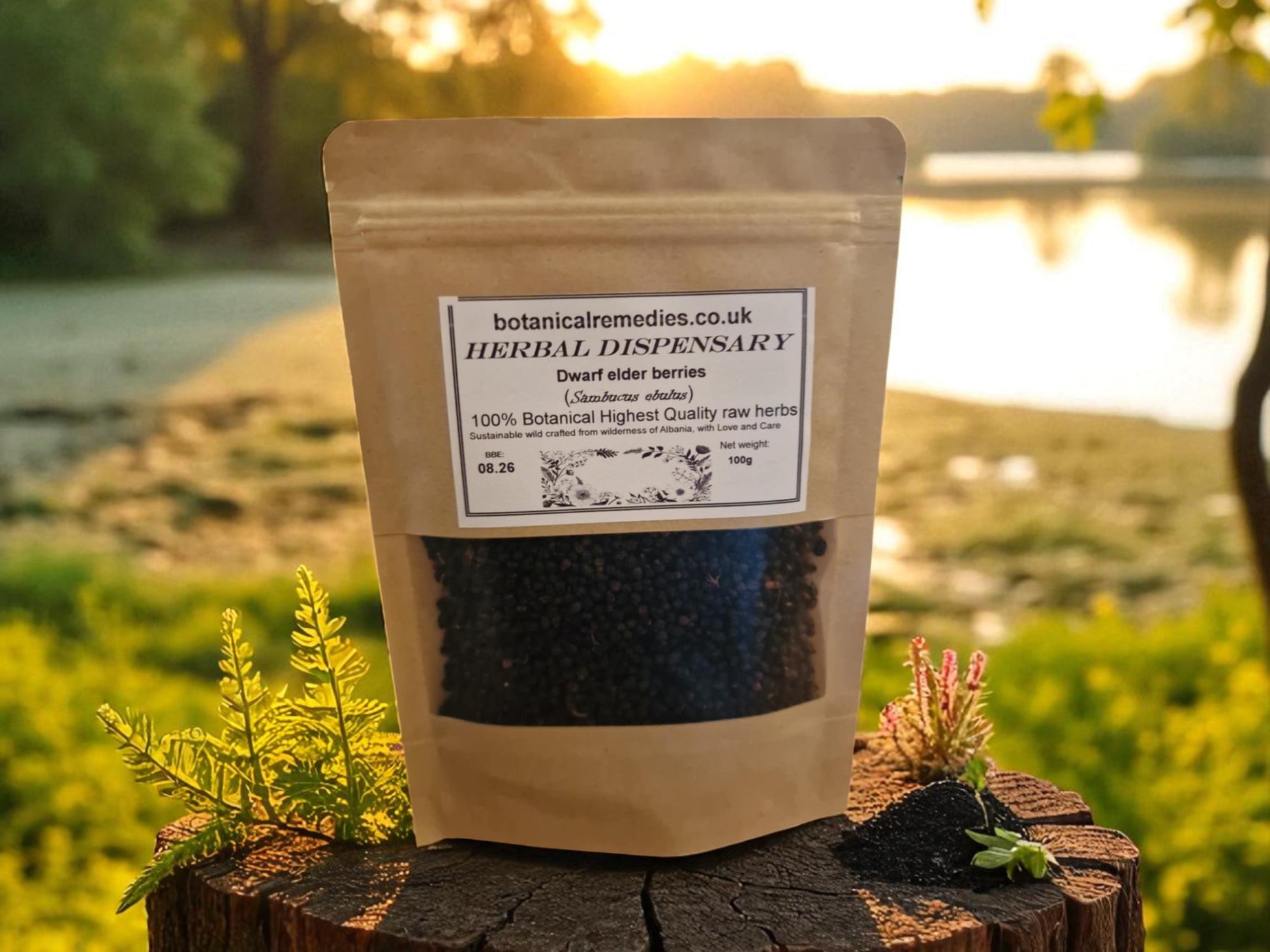 Package of dried dwarf elder berries, sambucus ebulus, an herbal remedy, loose herbal tea