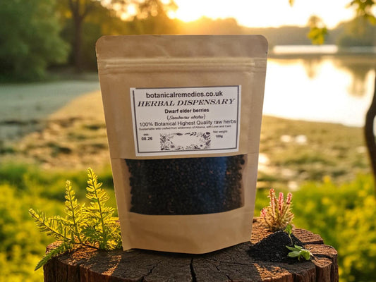 Package of dried dwarf elder berries, sambucus ebulus, an herbal remedy, loose herbal tea