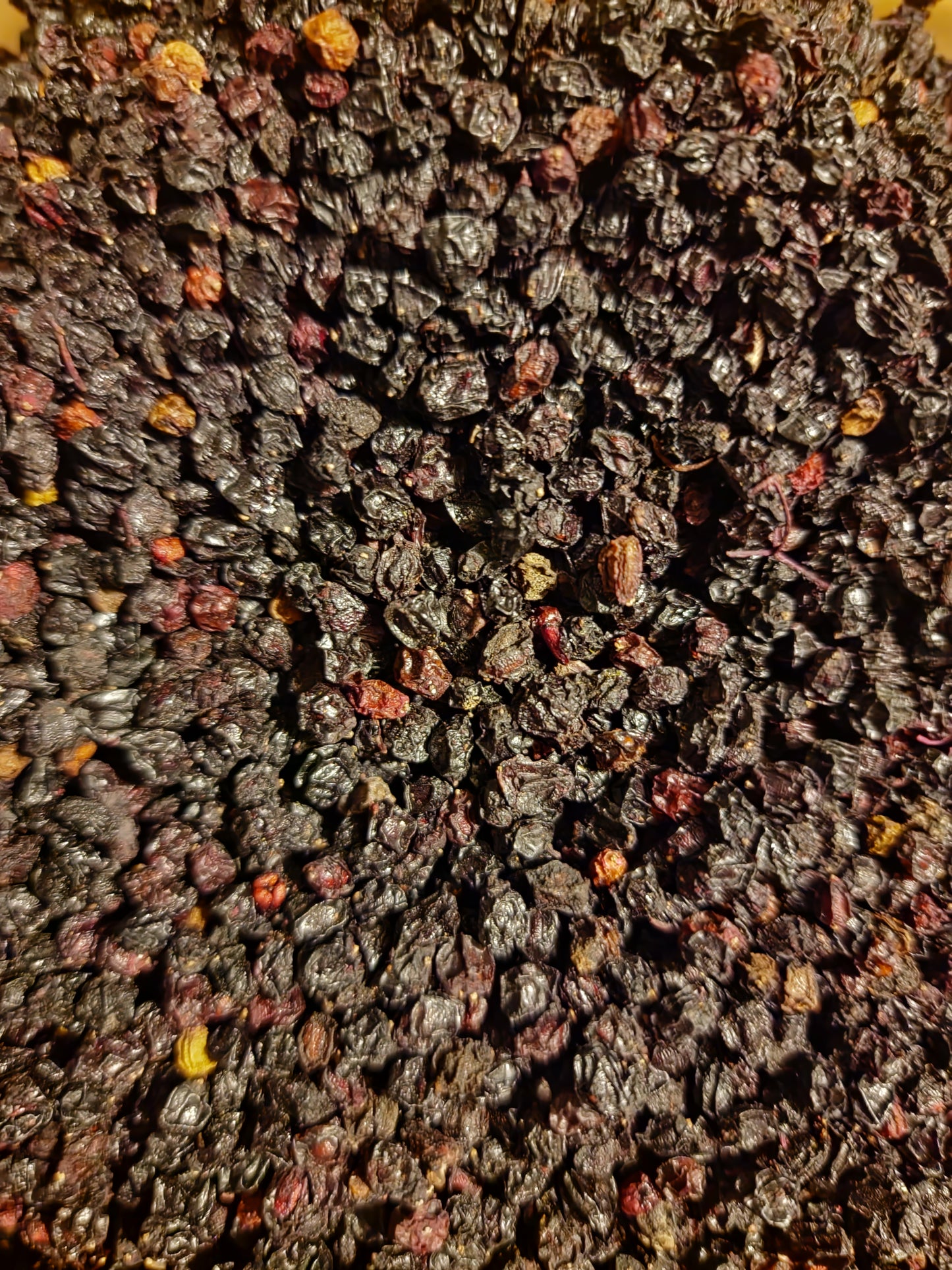 Elderberries dried (Sambucus nigra) Lab-proven Quality