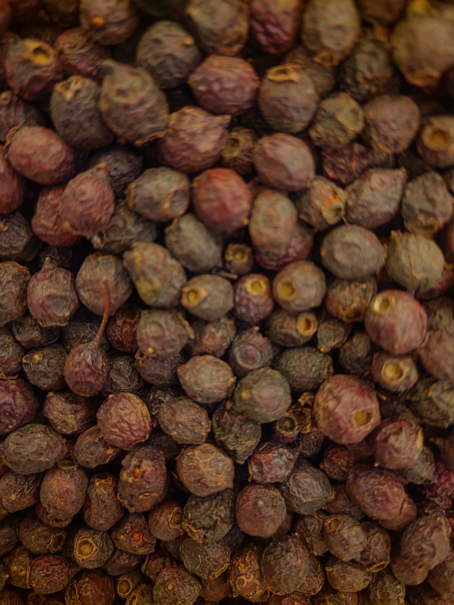 Hawthorn berry dried