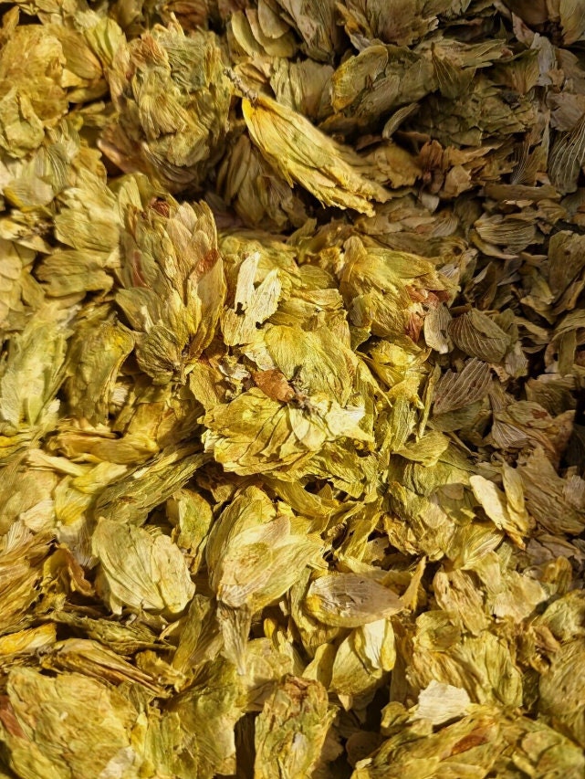 Package with Hop cones, loose herbal tea, an herbal remedy