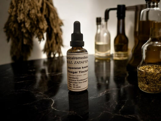 Japanese knotweed tincture vinegar base