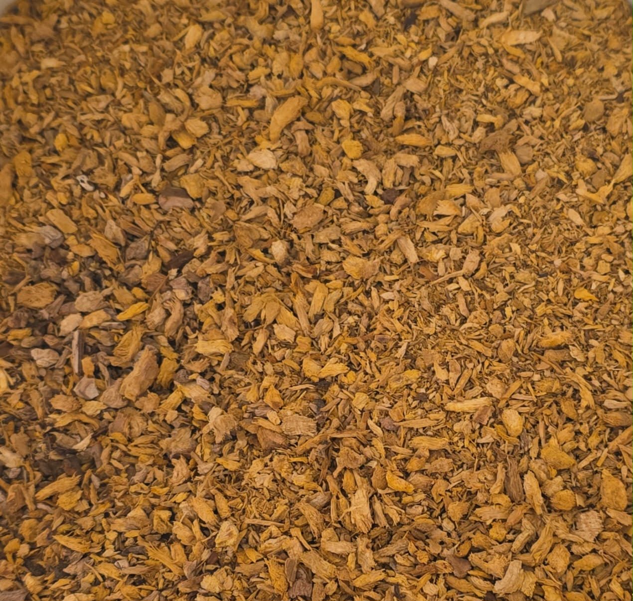Close-up of dried Japanese knotweed root, an powerful herbal antioxidant best source of Resveratrol, an herbal remedy from Botanical Remedies herbal dispensary, loose herbal tea