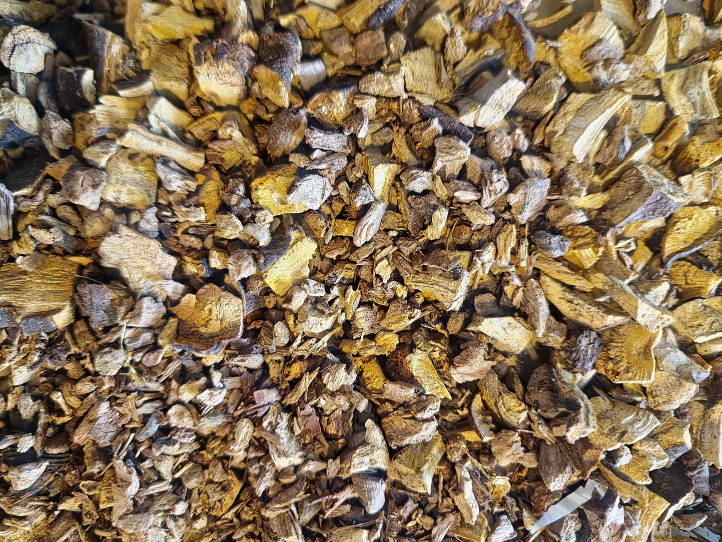 close up of dried and cut Japanese knotweed root, an herbal remedy from Botanical remedies herbal dispensary, loose herbal tea