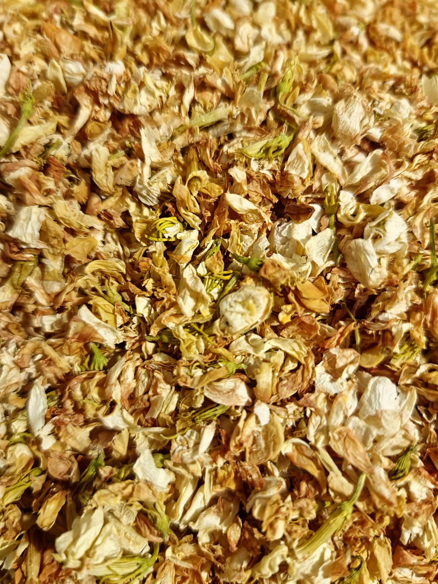 close up of Jasmine flowers, an herbal remedy from Botanical Remedies herbal dispensary, loose herbal tea
