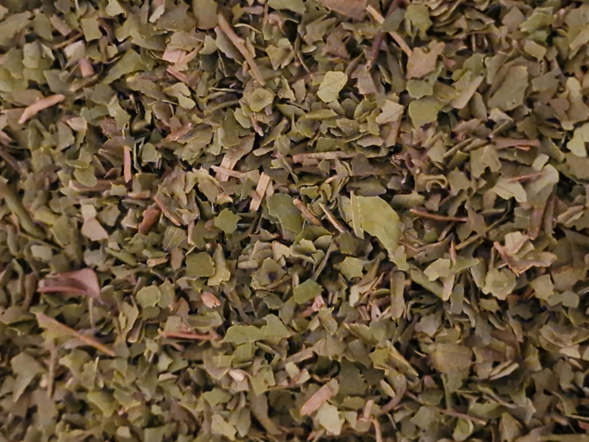 Close-up of dried and cut Lemon myrtle leaves, loose herbal tea