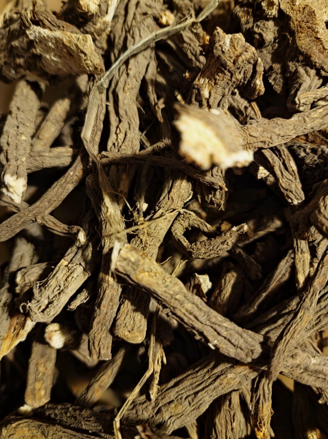 Close up of Lovage roots from Botanical Remedies, an herbal remedy