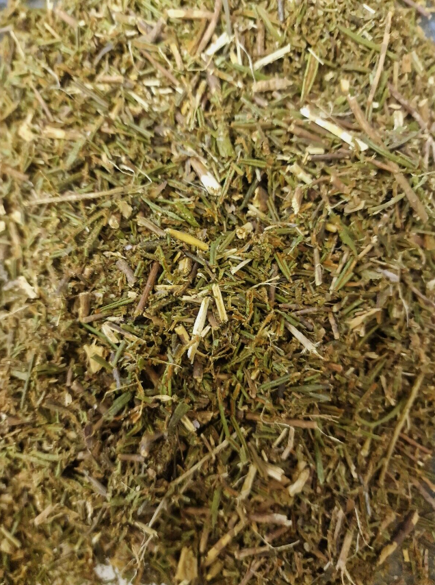 close up of marsh Labrador herb dried and cut, an herbal remedy from Botanical Remedies, herbal dispensary, loose herbal tea