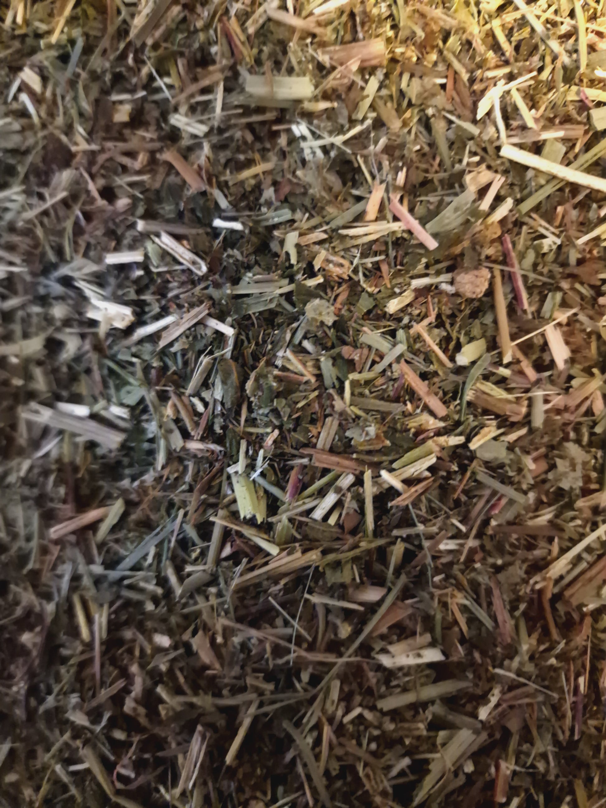 close up of meadowsweet herb, dried and cut, loose herbal tea, an herbal remedy