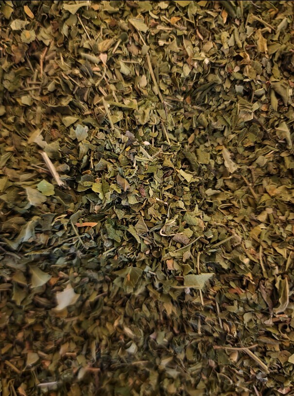 Close up of Moringa leaves, dried and cut, an superfood and herbal remedy