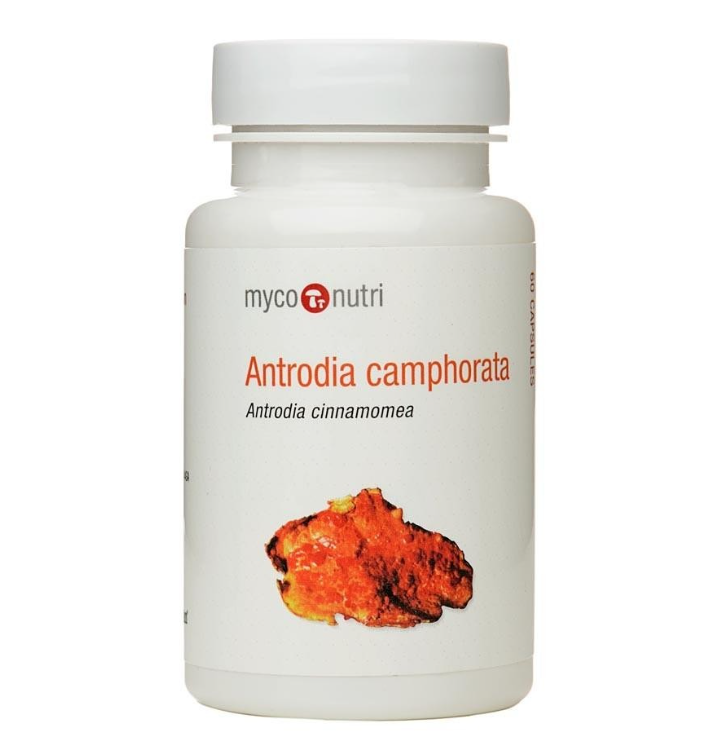 container with MycoNutri Antrodia capsules (Antrodia camphorata), an herbal supplement to support liver