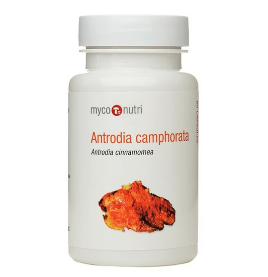 container with MycoNutri Antrodia capsules (Antrodia camphorata), an herbal supplement to support liver
