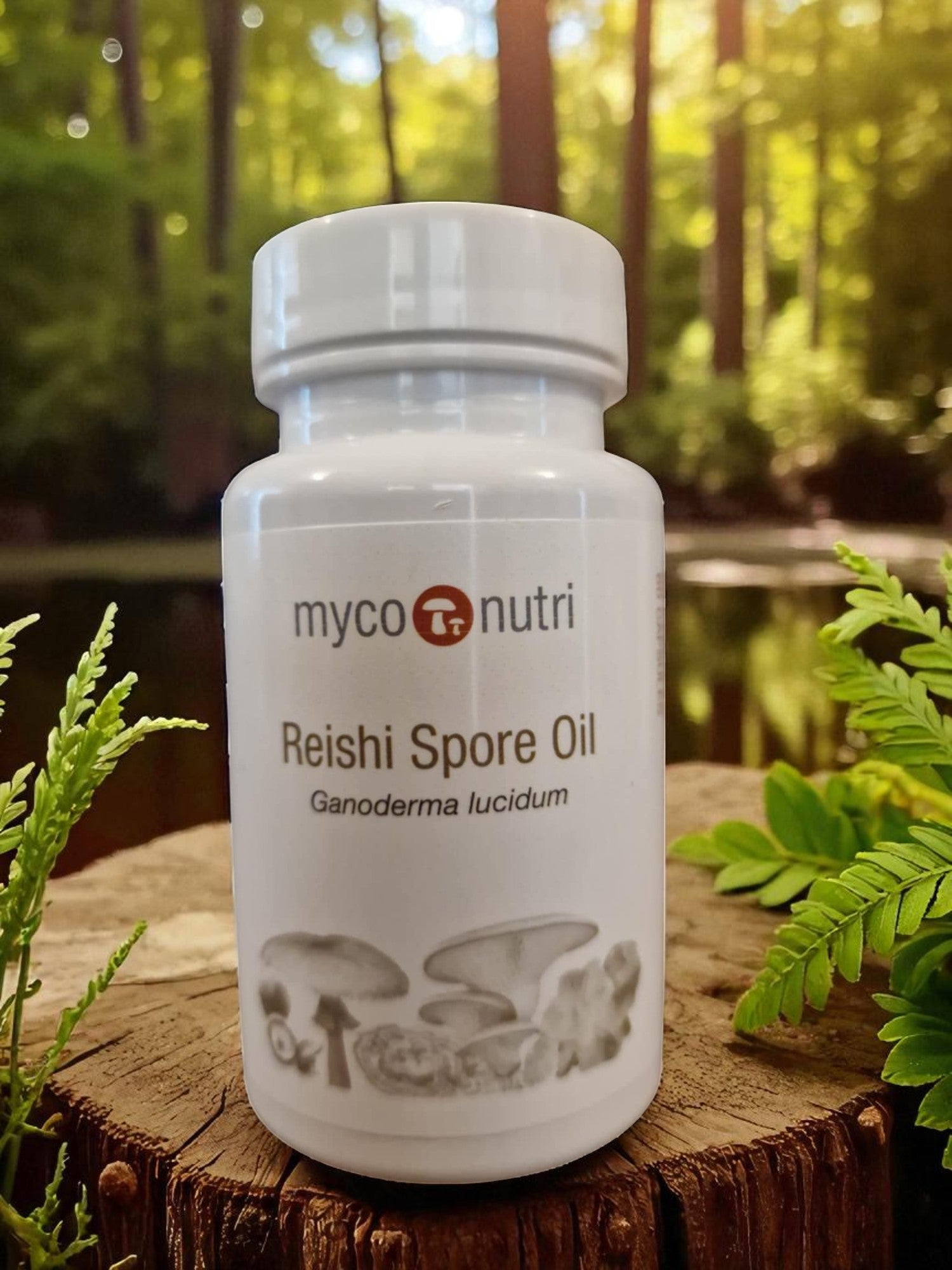 Container with Myconutri Reishi spore oil capsules