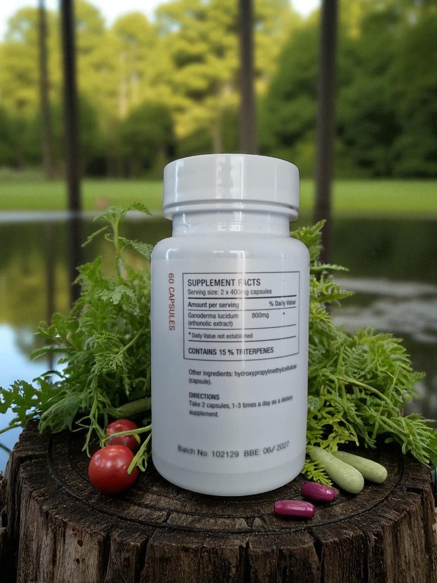 Container with Myconutri Reishi extra, with serving amount shown, an medicinal mushroom supplement