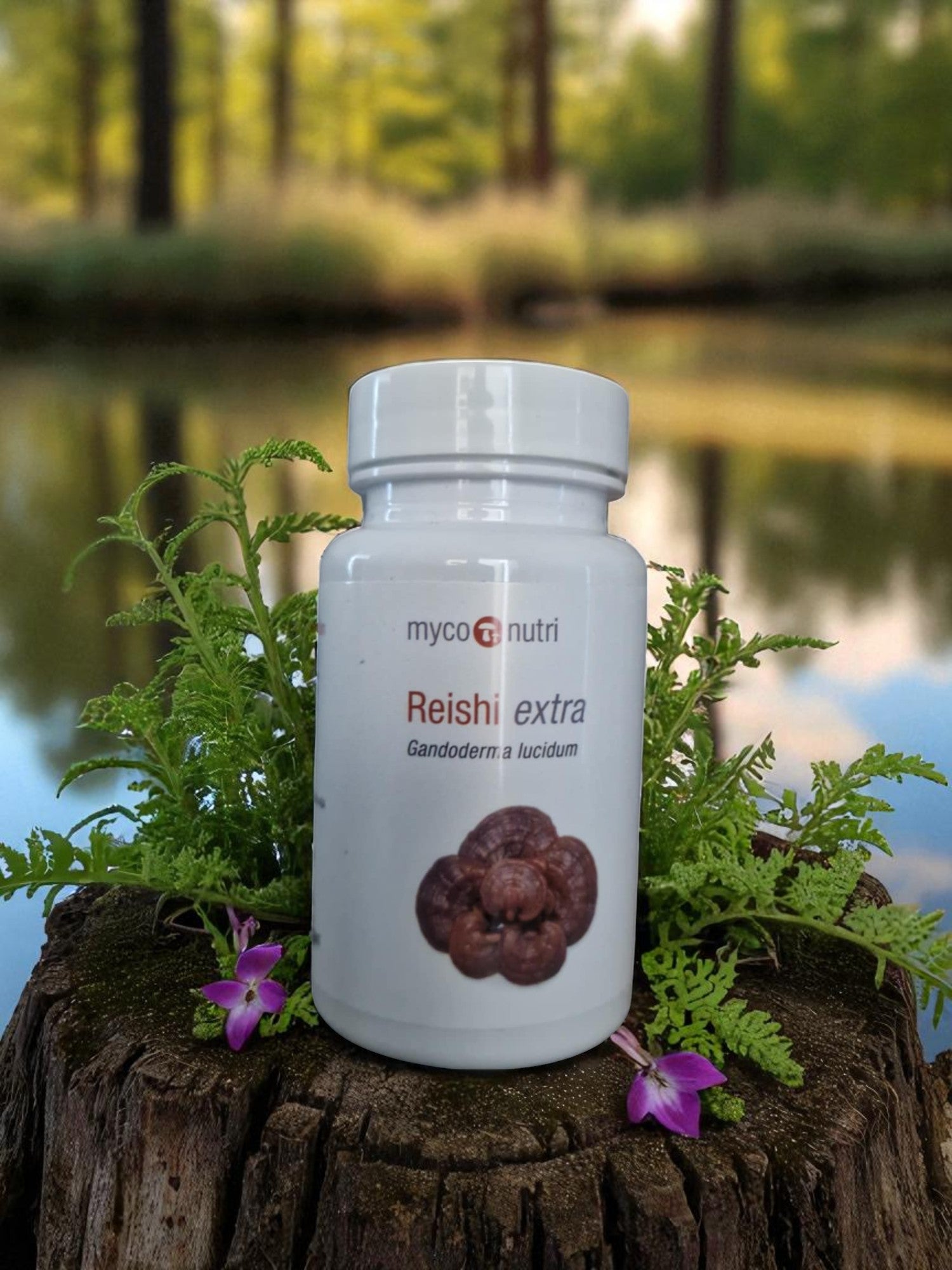 Container with Myconutri Reishi extra, 60 vegetable capsules, front shown, an medicinal mushroom supplement