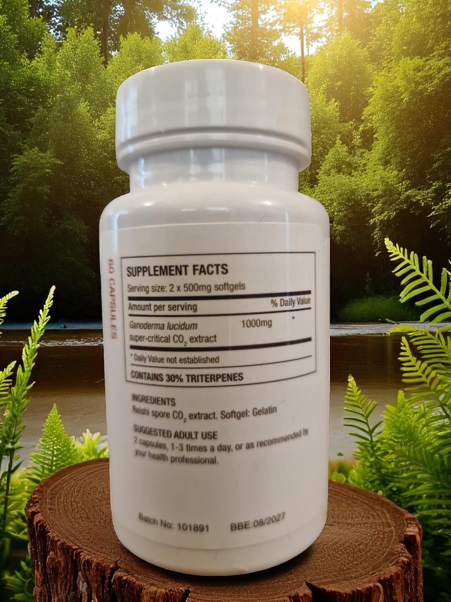 Container with Myconutri Reishi spore oil capsules