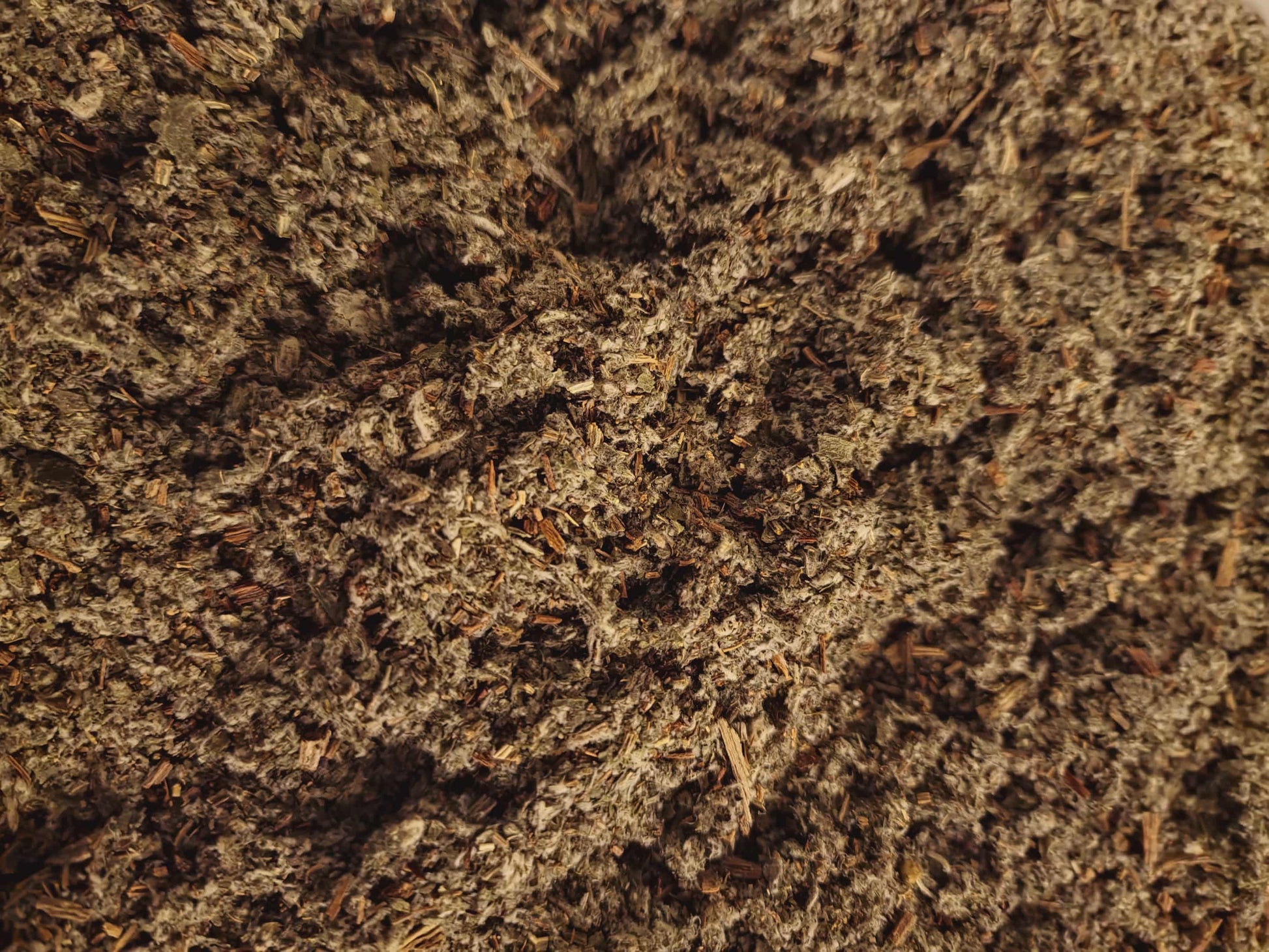 Close-up of Organic Artichoke leaf, dried and cut, an herbal remedy, loose herbal tea