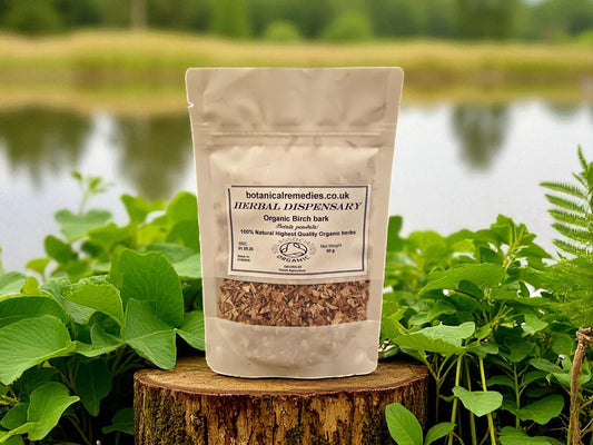 Bag of Organic Birch bark from botanical remedies herbal dispensary, an herbal remedy, loose herbal tea