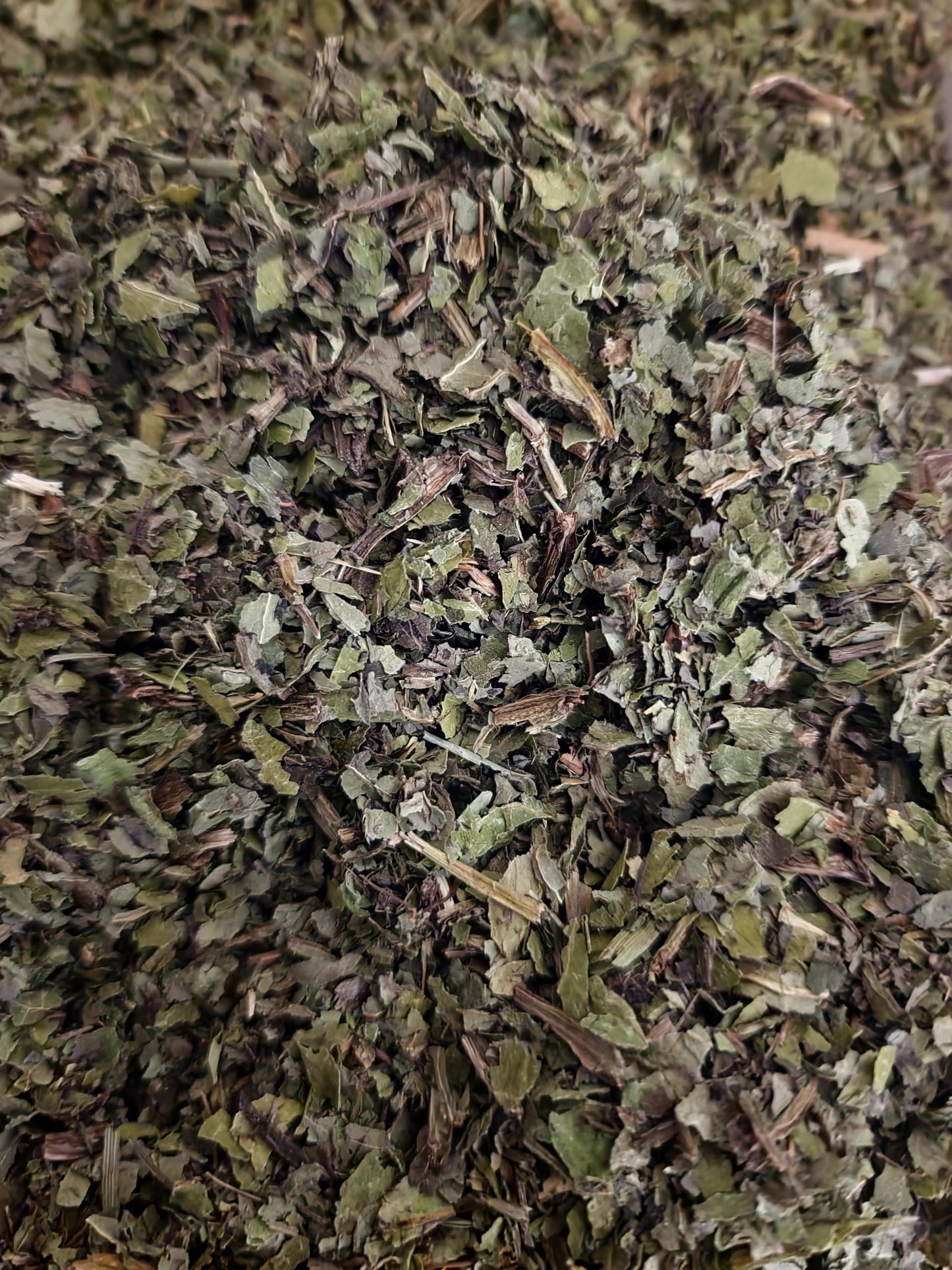 close up of Organic Cabbage Thistle herb dried and cut from Botanical Remedies herbal dispensary, an herbal remedy, loose herbal tea