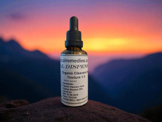 Dropper bottle with Organic Cleavers Tincture, an herbal remedy