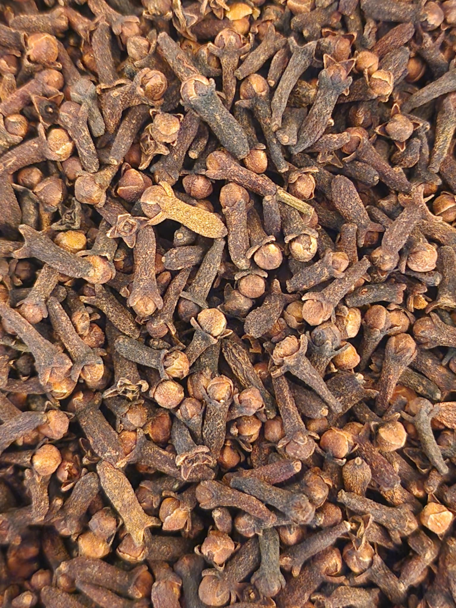 Close-up of a dried Organic cloves
