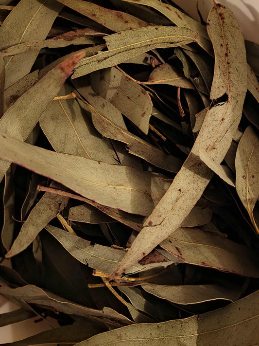 Organic Eucalyptus leaf whole (Eucalyptus globulus)