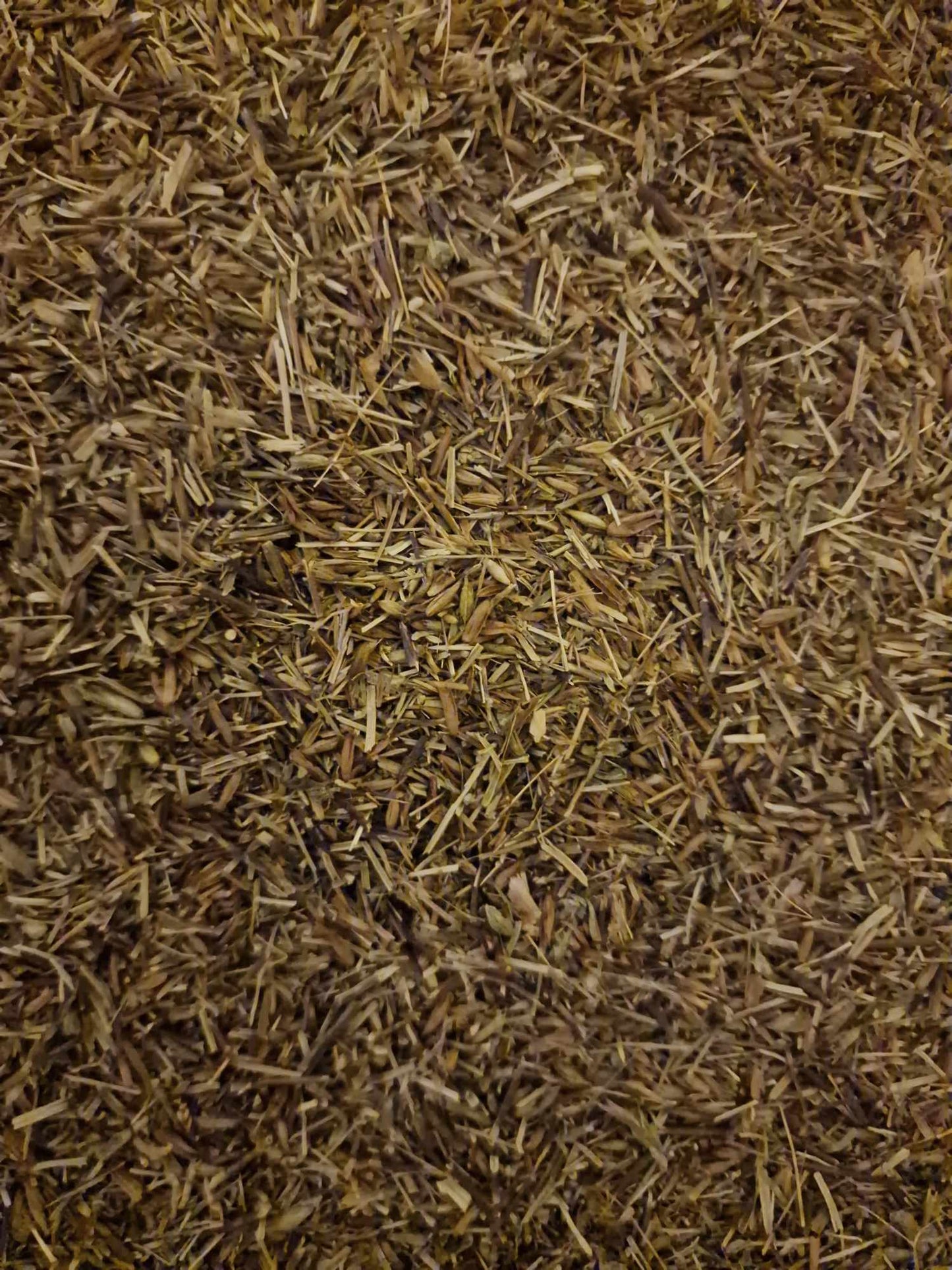 close up of Organic Eyebright herb from Botanical Remedies herbal dispensary, an herbal remedy, loose herbal tea