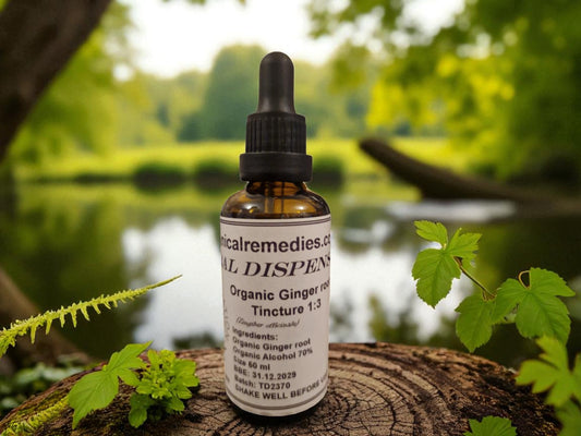 Dropper bottle with Organic Ginger tincture, an herbal remedy