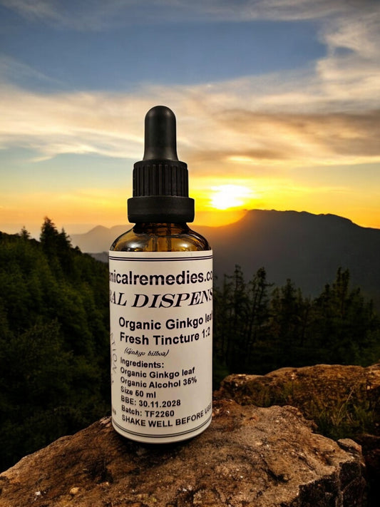 Dropper Bottle of of Organic Ginkgo leaf Tincture, an herbal remedy from Botanical remedies herbal dispensary