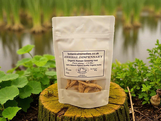 Organic Korean Ginseng root (Panax ginseng) Lab-proven Quality