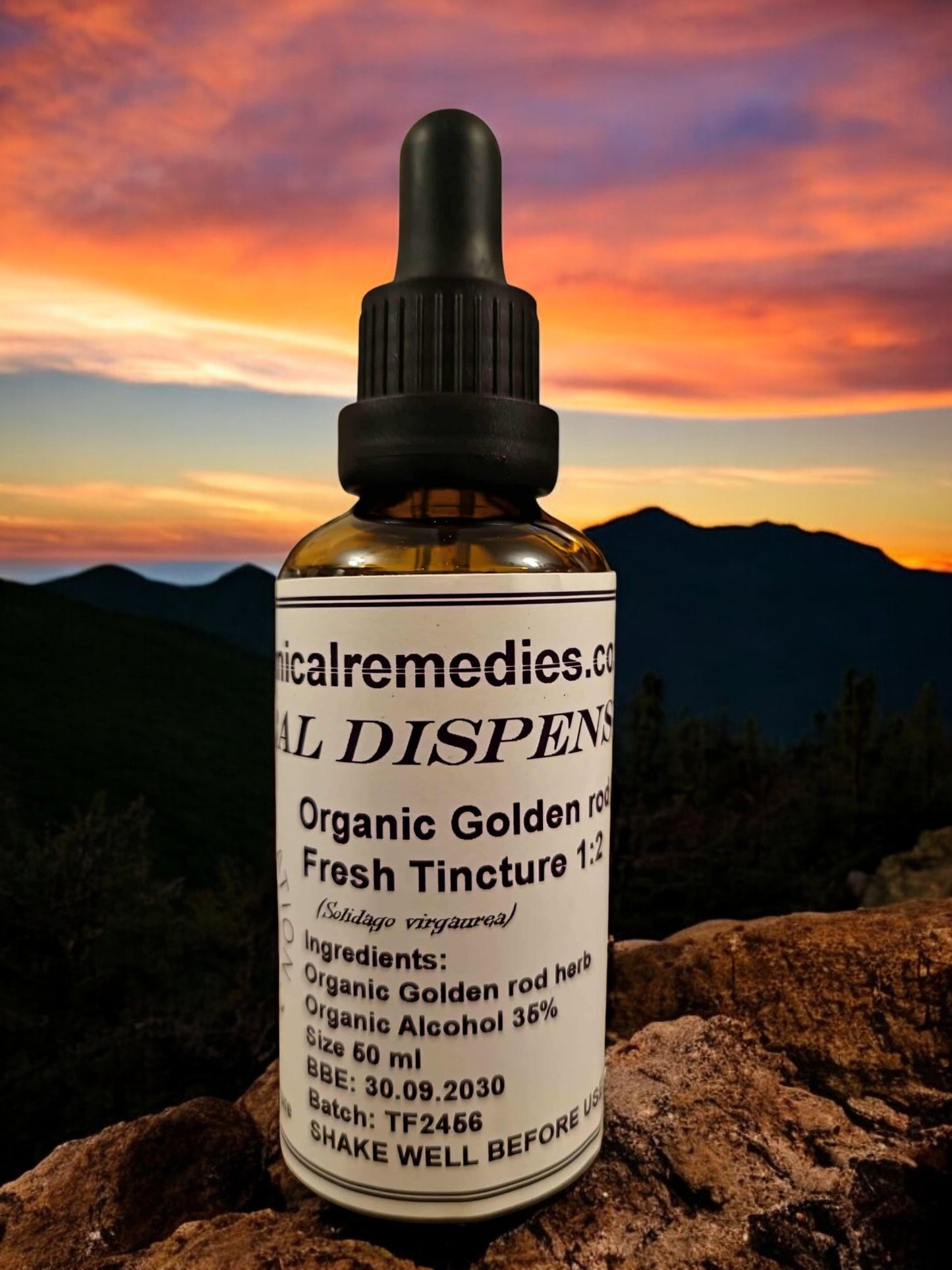 dropper Bottle of organic Golden Rod tincture, an herbal remedy from Botanical Remedies herbal dispensary